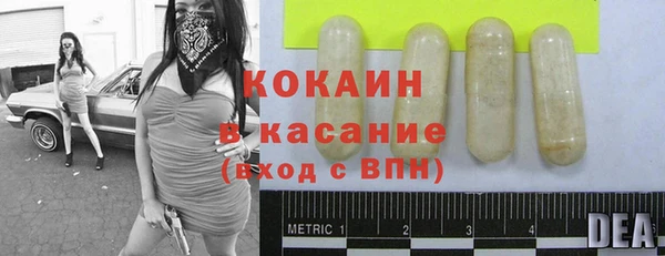 ешки Алексин