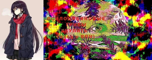 метамфетамин Алексеевка