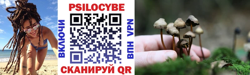 Галлюциногенные грибы прущие грибы  Каргат 